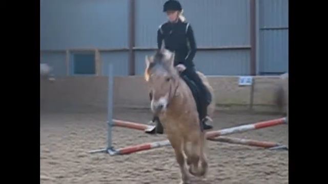 Springles manege koopman.wmv смотреть онлайн
