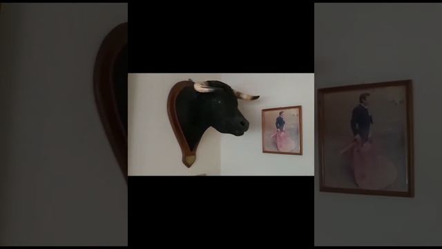 Pablo Alfonso Fernández "El norteño" смотреть онлайн