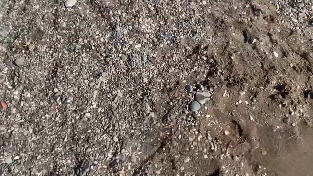 Armas Gul Beach Kemer