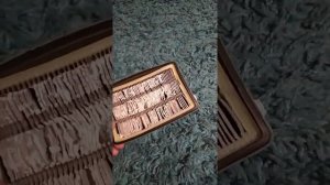 Ремонт отсутствия тяги пылесоса Tefal TW3724RA