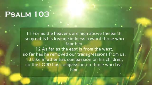 Psalm 3, Psalm 53, & Psalm 103 - Reading Through the Psalms Day 3 (with words) смотреть онлайн