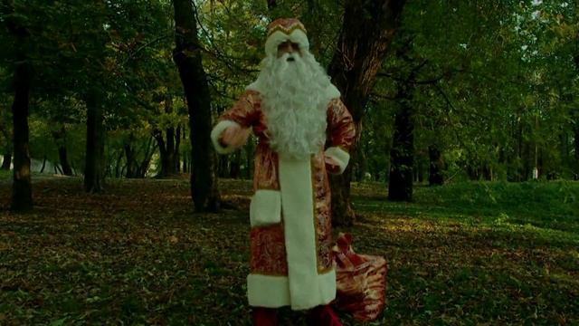 Красивая Королевская борода Деда Мороза как у человека смотреть онлайн