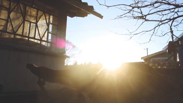 ОКА_ смотреть онлайн