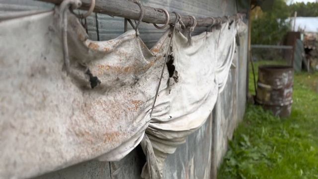 Дорогами Архангельской области. д. Боброво д. Гоголево смотреть онлайн