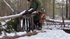 Лук сясы (ловушка на глухаря)