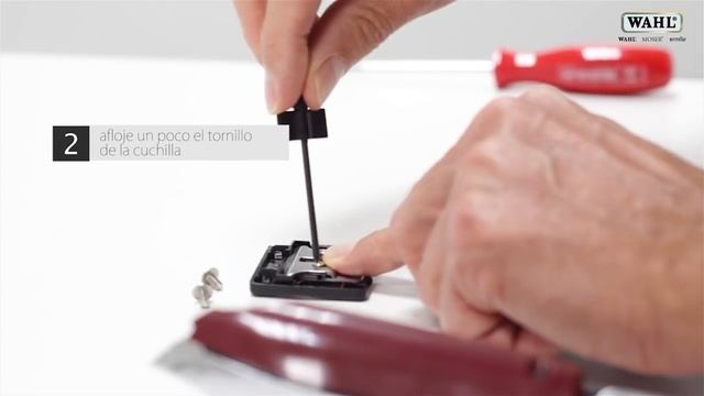 WAHL DETAILER (Ajuste de cuchillas a 0) смотреть онлайн