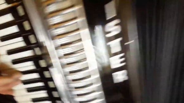 Weltmeister Supita 120 Bass Double Cassotto Accordion Fisarmonica Akkordeon + Case (5)