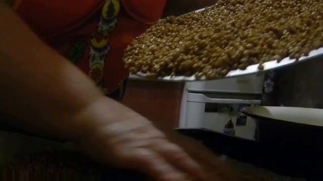 Как я подготавливаю зерно для проращивания своим курам несушкам смотреть онлайн
