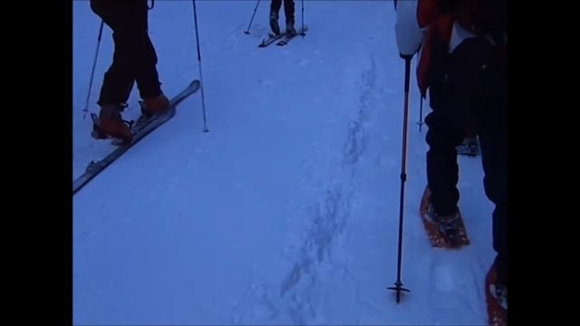 Schneeberg Túra