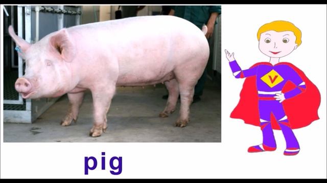 Домашние животные на английском. Английские слова. Видеотренажер английского. смотреть онлайн