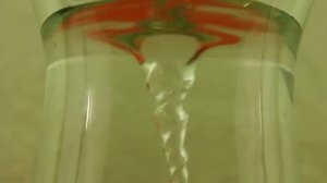 Water Tornado in a Jar