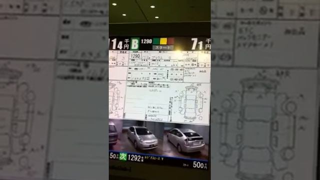 BCN auto auction смотреть онлайн