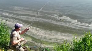 Как поймать толстолоба новичку