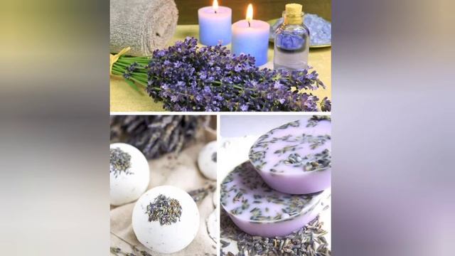 ДЕЙСТВИТЕЛЬНО ИНТЕРЕСНО