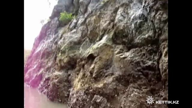 Mangrove Forest - Мангровые заросли, Langkawi