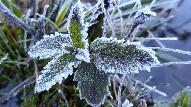 ❤️ KRYON do Serviço Magnético | A Mudança Climática (Parte 2) смотреть онлайн