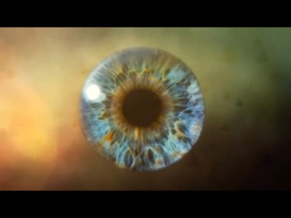 #пинк флоид___НАС И ИХ_ru-RU.Trailer