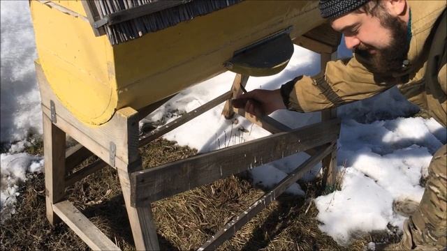 Первая зимовка турецкого улья/колоды на улице закончилась. Какие итоги? смотреть онлайн