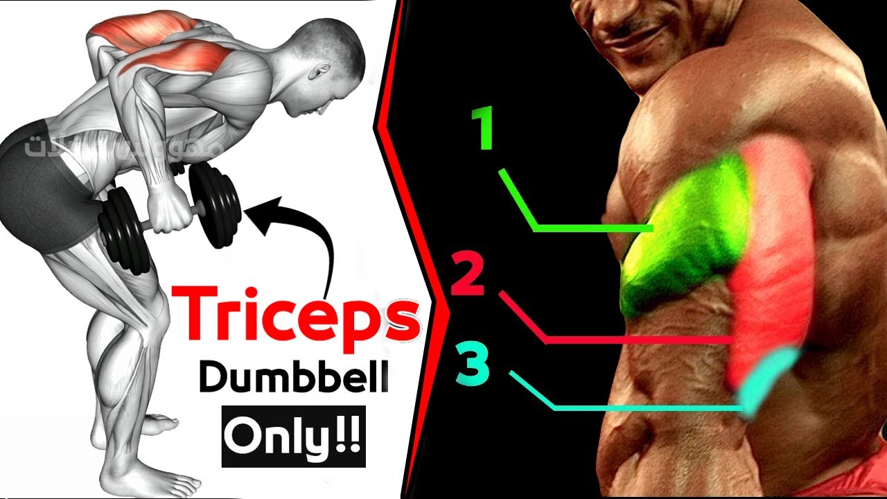 Тренировка с гантелями на трицепс дома | Разгибание трицепса смотреть онлайн