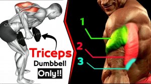 Тренировка с гантелями на трицепс дома | Разгибание трицепса