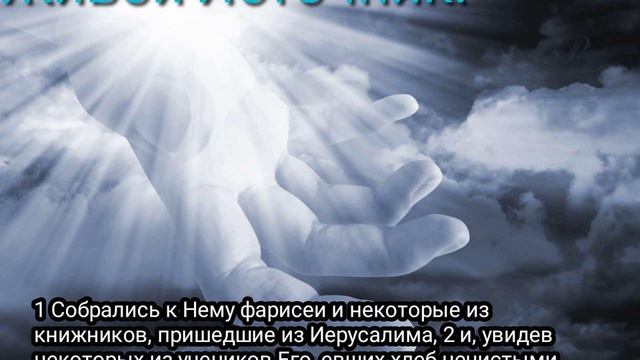 евших хлеб нечистыми, то есть неумытыми, руками, Марк 7 гл 1 2 гл смотреть онлайн