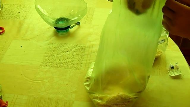 как развести опарышей в домашних условиях смотреть онлайн