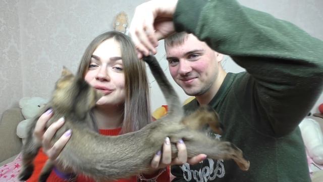 ТЕЛО ЧЕРНОРЫЖА | 5 ФАКТОВ | СЛАДУН КУСАЕТСЯ? смотреть онлайн