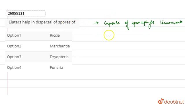 Elaters help in dispersal of spores of смотреть онлайн
