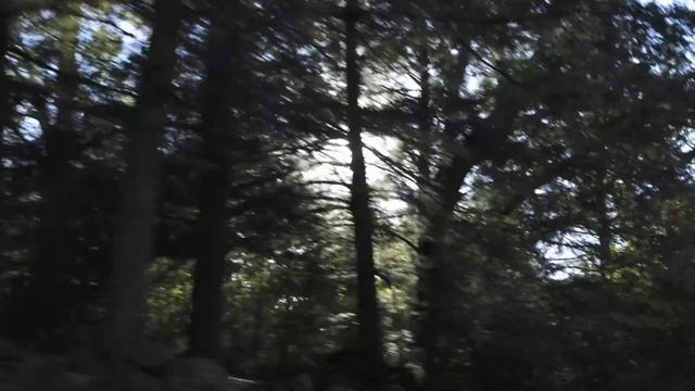 MTB - Mongoose Team Trip to Highland смотреть онлайн