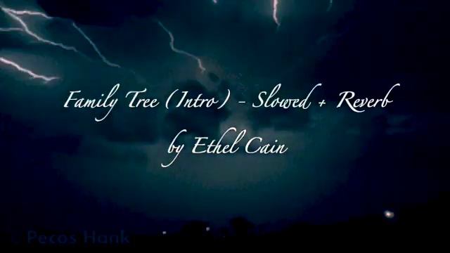 Family Tree Intro Ethel Cain Slowed + Reverb SD 480p смотреть онлайн