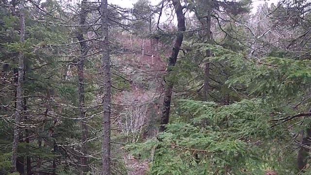 Victoria Park, Truro смотреть онлайн