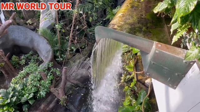 The Green Planet | Green planet Dubai | Dubai Green Planet |#greenplanet смотреть онлайн