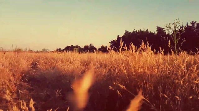 Słońce przez palce (nieoficjalne video) смотреть онлайн