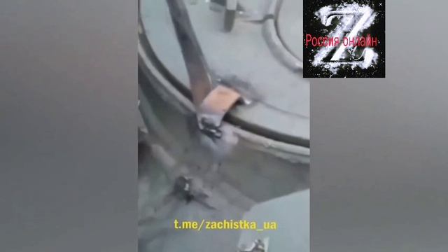 Picsart_22-12-11_11-55-55-830.mp4