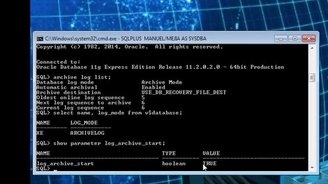 COPIA DE SGURIDAD UTILIZANDO RMAN (EN CALIENTE) ORACLE DATABASE 11g EE смотреть онлайн