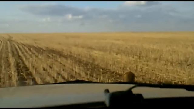 Барсук смотреть онлайн