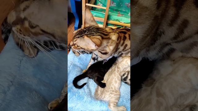 3 января 2022 г. смотреть онлайн