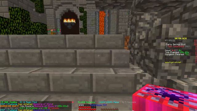 Hypixel Skyblock Dungeons Master Mode Floor 1 SOLO
