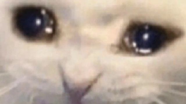 друзья | MEME | Sencoys / Сенчоус | Фрэйз, Друг, Дядя Саня, Сенч | By Vedro_Fan