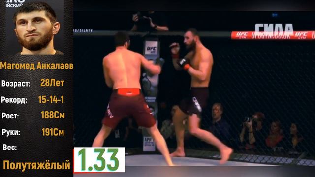 UFC 252. Анкалаев - Куцелаба. Прогноз. Аналитика. смотреть онлайн