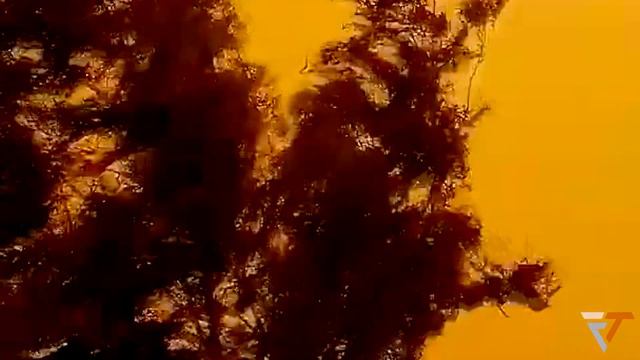 Severe red sandstorm hits Saudi Arabia. Dust storm 2021 смотреть онлайн