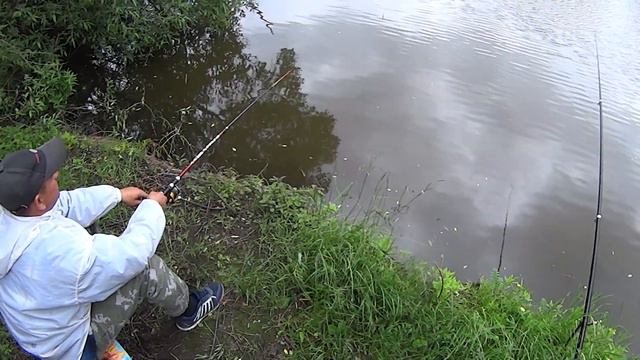 Горе рыбаки или сегодня не клюёт