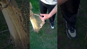 Как забрасывать рыболовный парашют (кастинговая сеть)