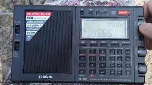 Tecsun PL-990 Telescope LW MW SW