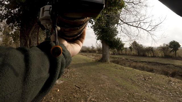 FIRST PERSON wildlife photography - turn on SUBTITLES - FALLOW DEER FIGHTING | POV | No talk смотреть онлайн