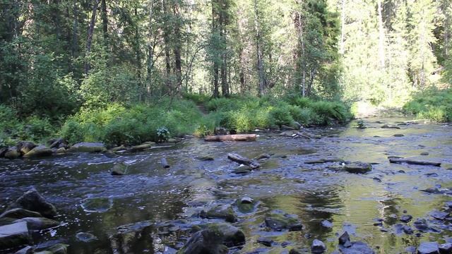 Белые мосты Карелия