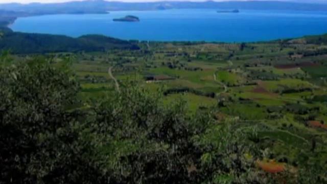 318 итальянская школа 40 лет