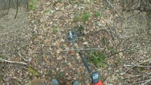 Коп с металлоискателем в приятном лесу xp deus