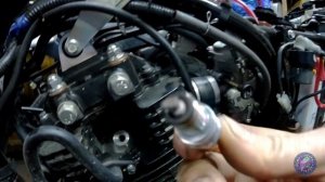 Bajaj Pulsar 180. ЧТО ТЫ ТАКОЕ?!! И КАК ТЕБЯ НАСТРОИТЬ !?