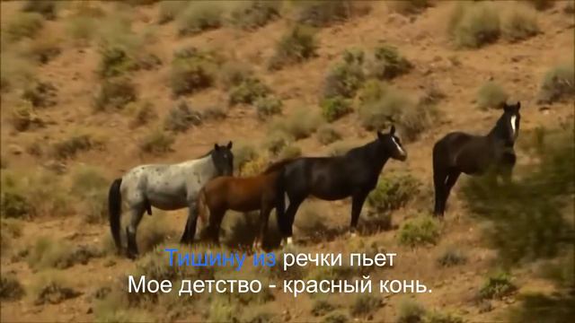 Караоке-версия песни "Красный конь". смотреть онлайн